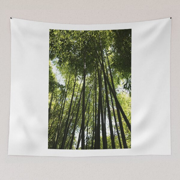 Item preview, Tall trees looking skywards. designed and sold by Pauline Cutler.