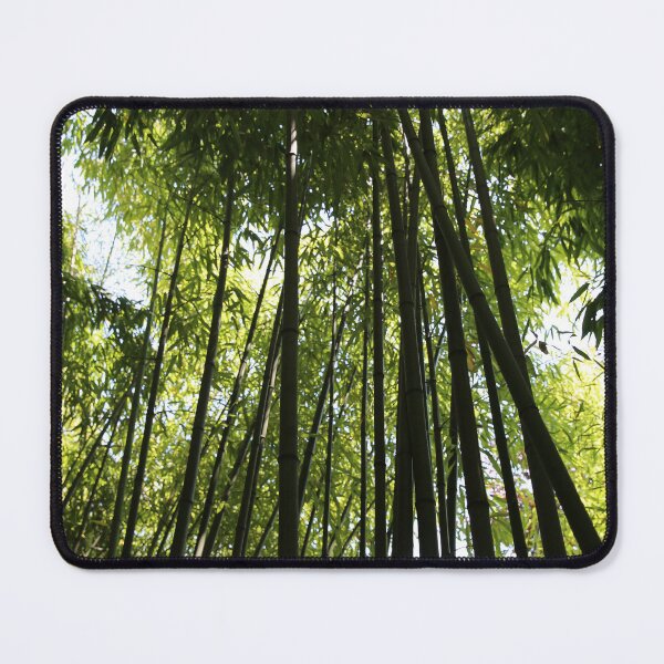 Item preview, Tall trees looking skywards. designed and sold by Pauline Cutler.