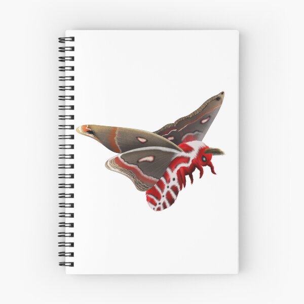 Item preview, Cecropia Moth Fluffy Moth Red Moth Silk Moth Saturniid  designed and sold by Hexapunk.