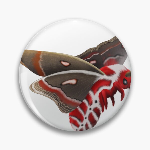 Item preview, Cecropia Moth Fluffy Moth Red Moth Silk Moth Saturniid  designed and sold by Hexapunk.