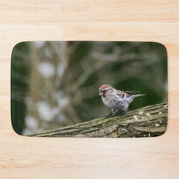 Item preview, Mealy redpoll found some seeds designed and sold by Jouko Lehto Photography.