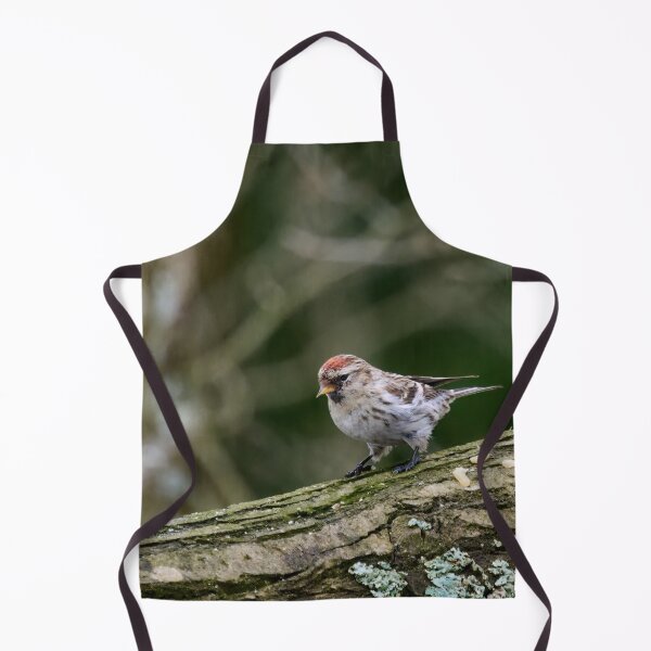 Item preview, Mealy redpoll found some seeds designed and sold by Jouko Lehto Photography.
