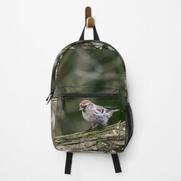Item preview, Mealy redpoll found some seeds designed and sold by Jouko Lehto Photography.