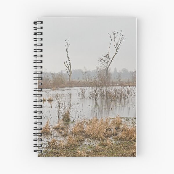 Item preview, Misty marsh landscape in Bourgoyen nature reserve, Ghent, Belgium designed and sold by xophotography.