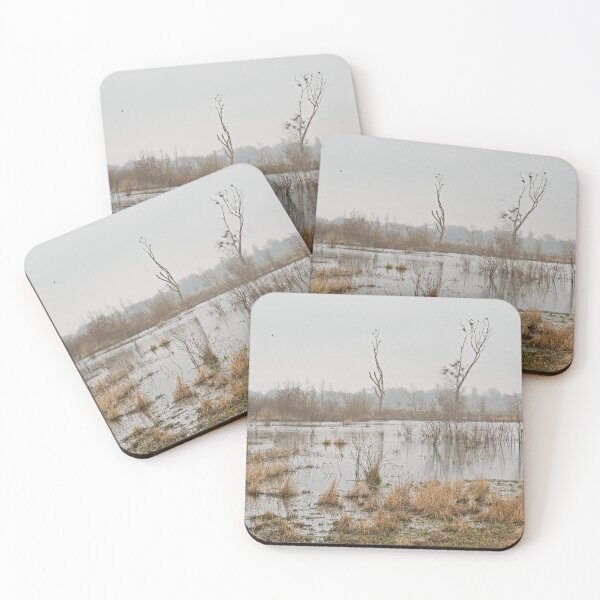 Item preview, Misty marsh landscape in Bourgoyen nature reserve, Ghent, Belgium designed and sold by xophotography.