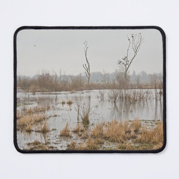 Item preview, Misty marsh landscape in Bourgoyen nature reserve, Ghent, Belgium designed and sold by xophotography.