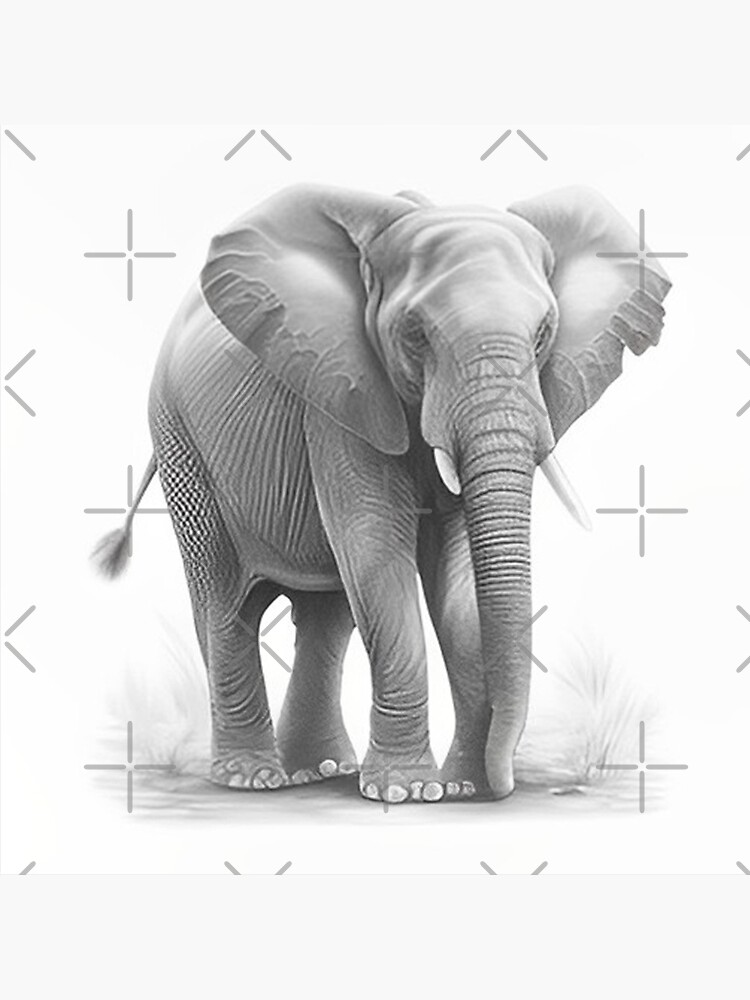 Drawing an Elephant : 9 Steps - Instructables