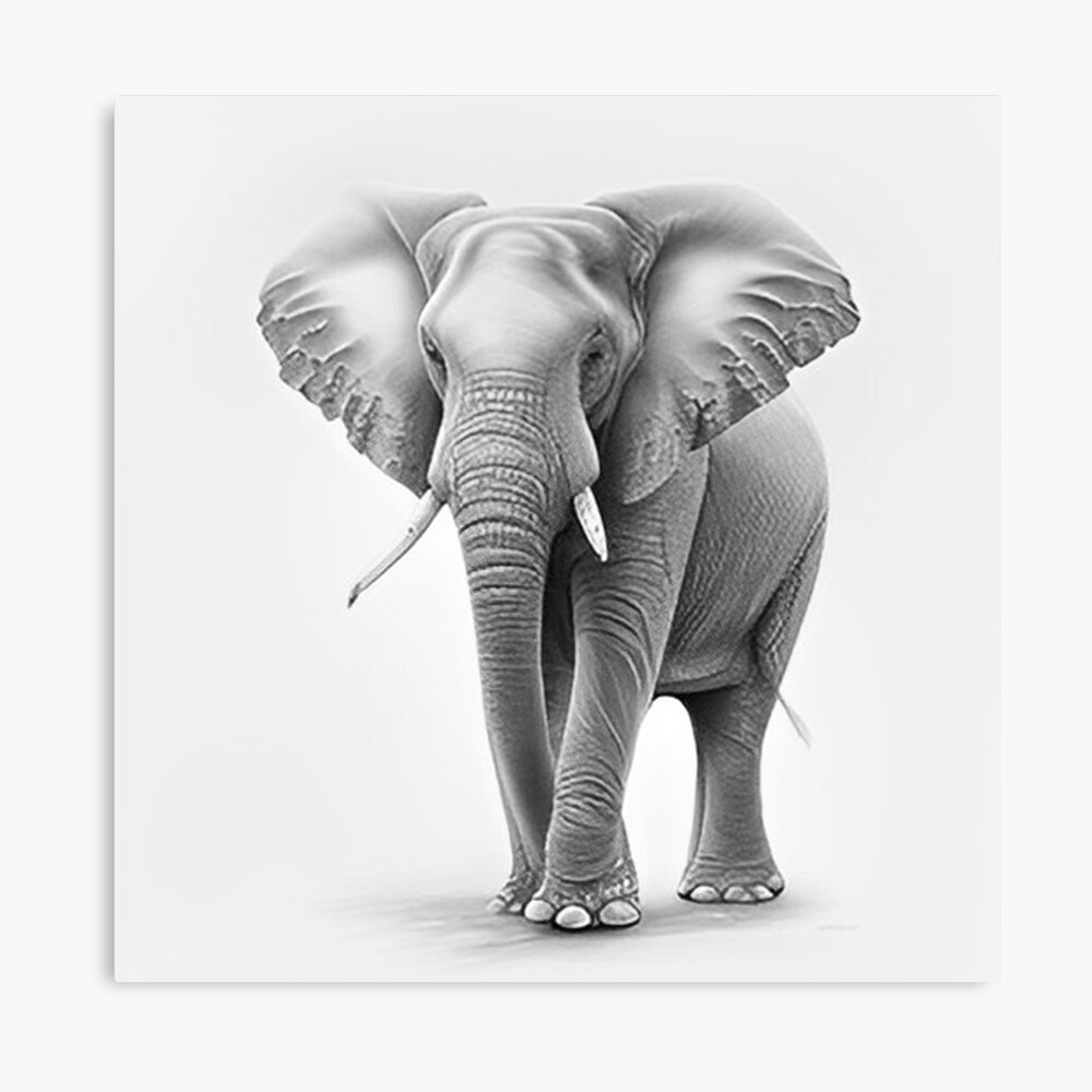 Line Drawing Elephant Stock Illustrations, Cliparts and Royalty Free Line Drawing  Elephant Vectors