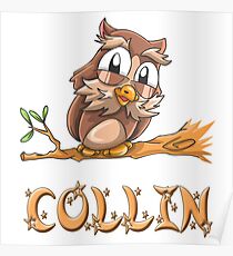 Collin Owl Poster