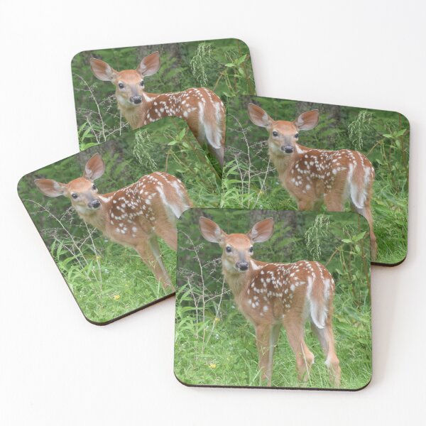 Item preview, White Tailed Deer Fawn in Maine designed and sold by Louise-Mae.