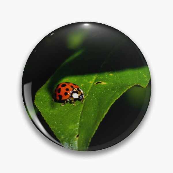 Item preview, Lady Bug designed and sold by Between  The Tales.