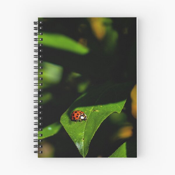 Item preview, Lady Bug designed and sold by Between  The Tales.