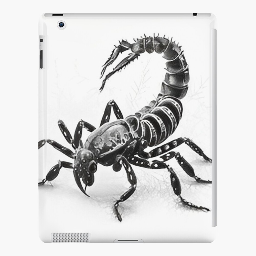 Black and white pencil drawing of a Scorpion Magnet for Sale by Pencil-Art  | Redbubble