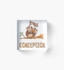 Conception Owl Acrylic Block