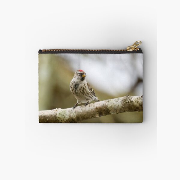 Item preview, Mealy redpoll looking for the future designed and sold by Jouko Lehto Photography.