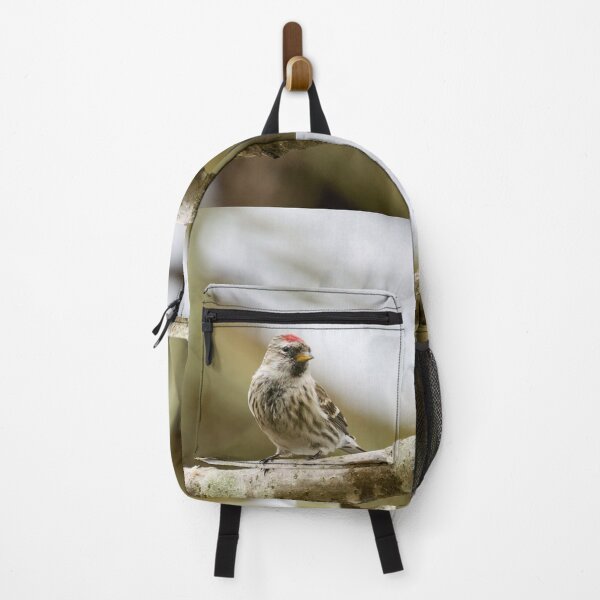 Item preview, Mealy redpoll looking for the future designed and sold by Jouko Lehto Photography.