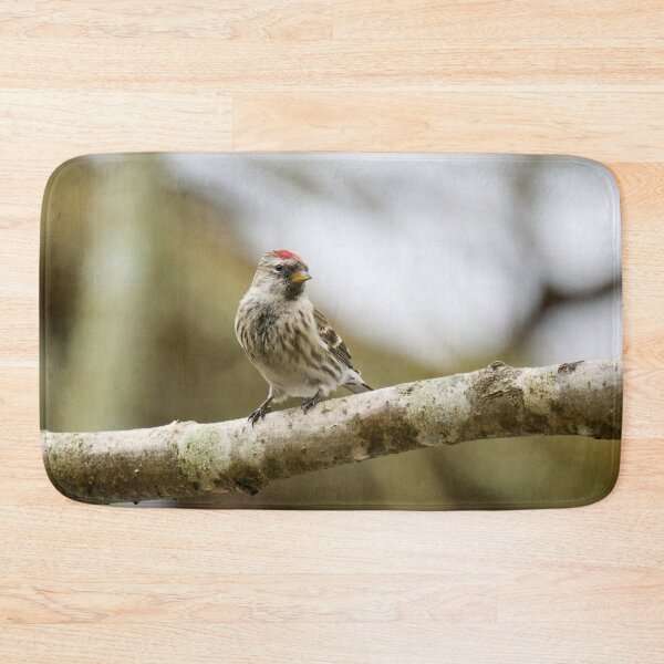 Item preview, Mealy redpoll looking for the future designed and sold by Jouko Lehto Photography.