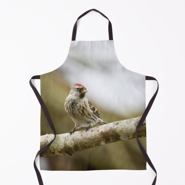 Item preview, Mealy redpoll looking for the future designed and sold by Jouko Lehto Photography.