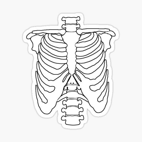 "Skeleton" Sticker For Sale By Collection-life | Redbubble