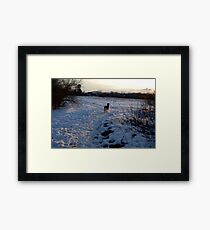Survey Framed Print