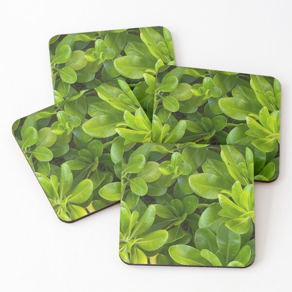 Item preview, beach plant  designed and sold by LifeSpice.