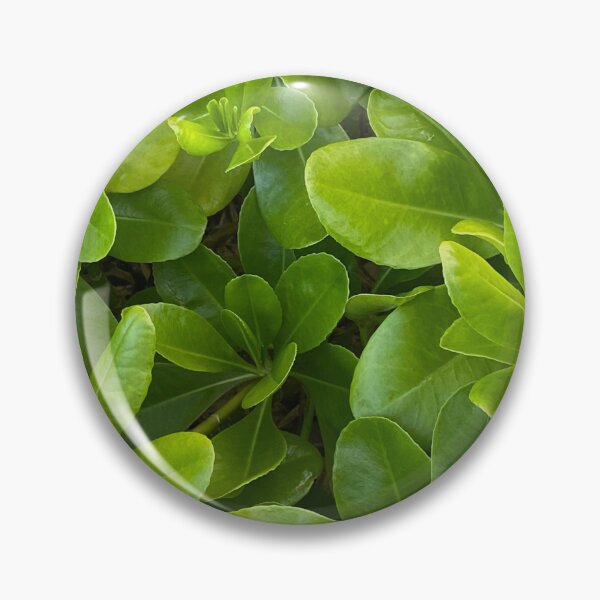 Item preview, beach plant  designed and sold by LifeSpice.