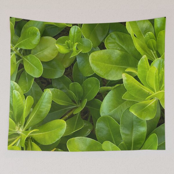 Item preview, beach plant  designed and sold by LifeSpice.