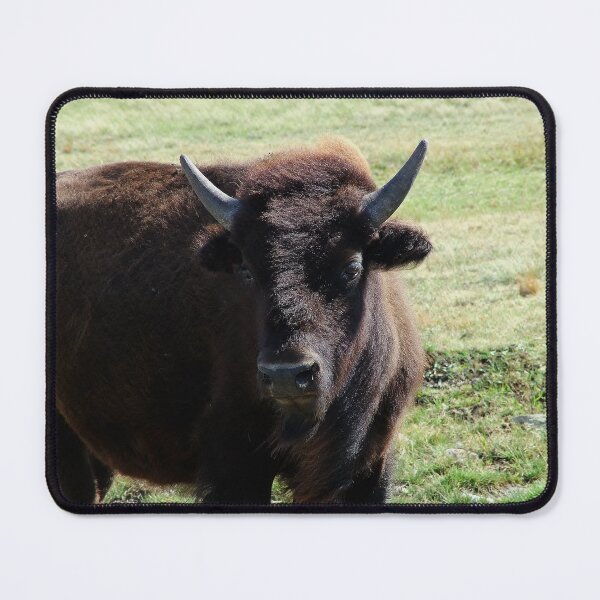 Item preview, Buffalo, Close Enough designed and sold by Vivar Photo.