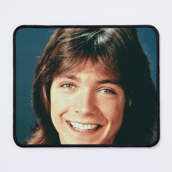Item preview, David Cassidy designed and sold by HICHAKARI.