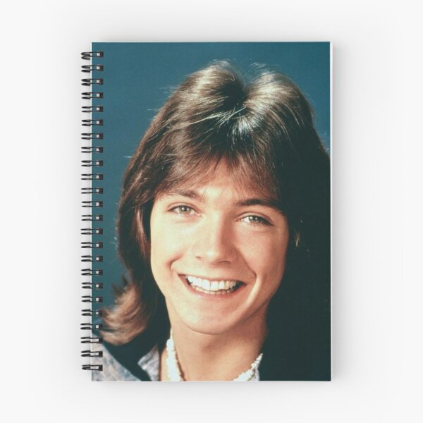 Item preview, David Cassidy designed and sold by HICHAKARI.