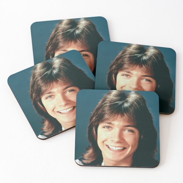 Item preview, David Cassidy designed and sold by HICHAKARI.
