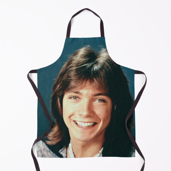 Item preview, David Cassidy designed and sold by HICHAKARI.