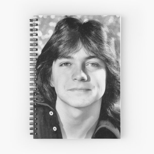 Item preview, David Cassidy designed and sold by HICHAKARI.
