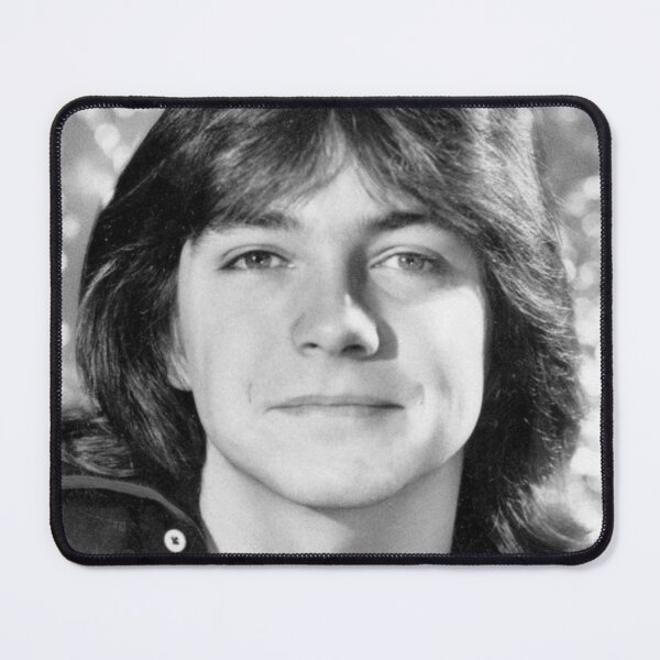 Item preview, David Cassidy designed and sold by HICHAKARI.