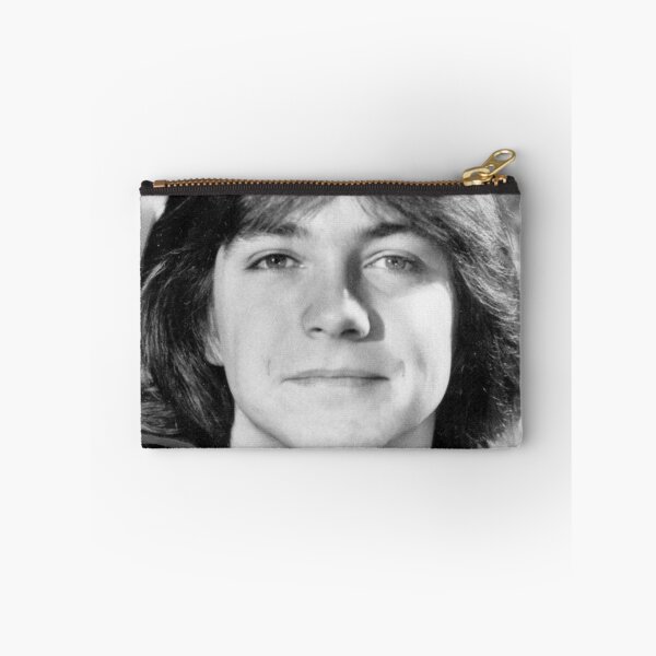 Item preview, David Cassidy designed and sold by HICHAKARI.