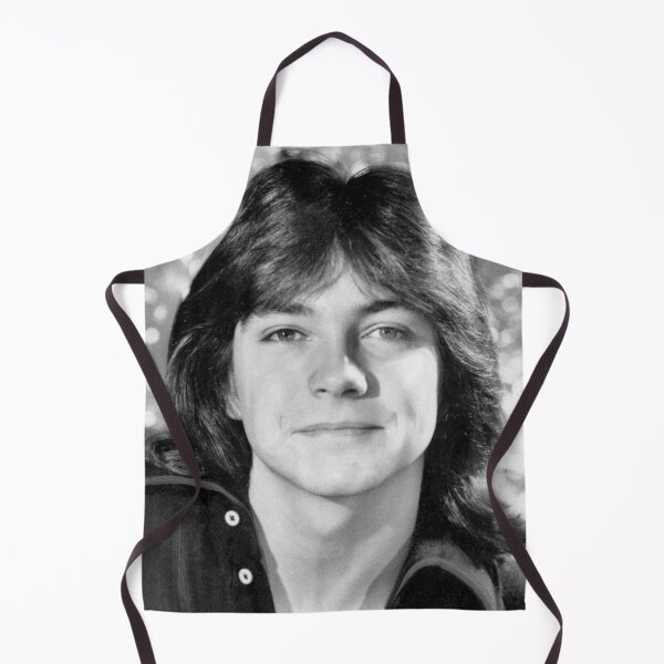 Item preview, David Cassidy designed and sold by HICHAKARI.