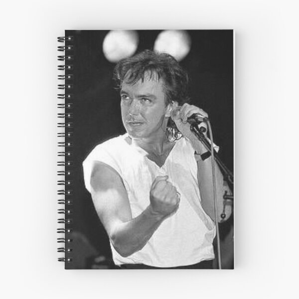 Item preview, David Cassidy designed and sold by HICHAKARI.
