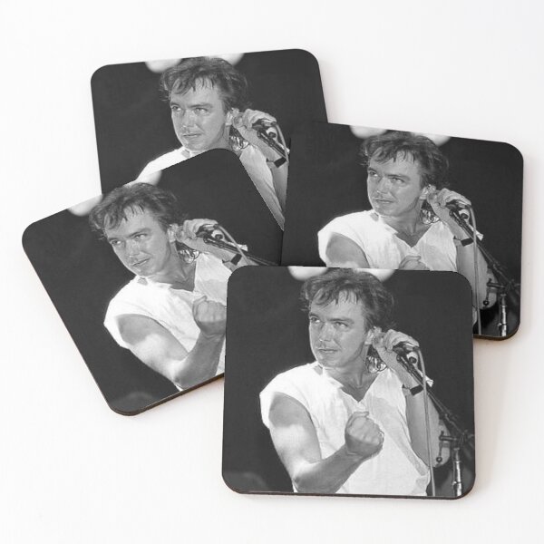 Item preview, David Cassidy designed and sold by HICHAKARI.