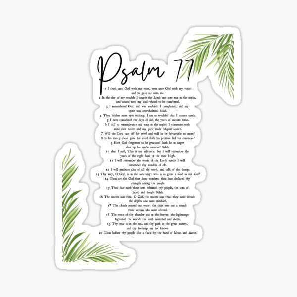 st,small,507x507-pad,600x600,