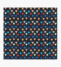 Colourful Tulips Photographic Print