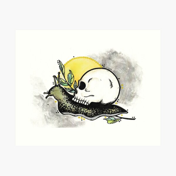 Elisa Shigehiro Art on Twitter Nov 10 2020 Skull Snail Based on a tattoo  I recently watched while apprenticing at Atticus in Calgary Ink and copics  on sketch paper 55 x 55 