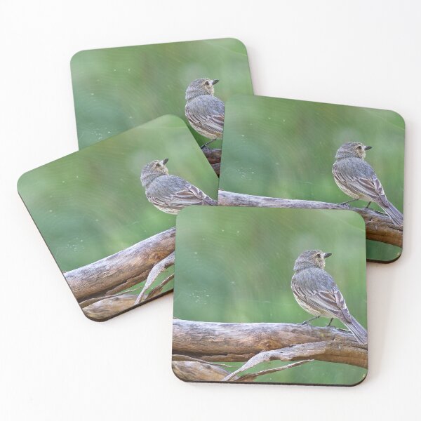Item preview, Female Rufous Whistler designed and sold by Stephen Ruane.