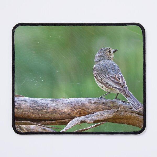 Item preview, Female Rufous Whistler designed and sold by Stephen Ruane.