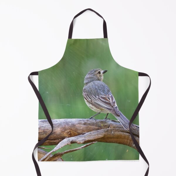 Item preview, Female Rufous Whistler designed and sold by Stephen Ruane.