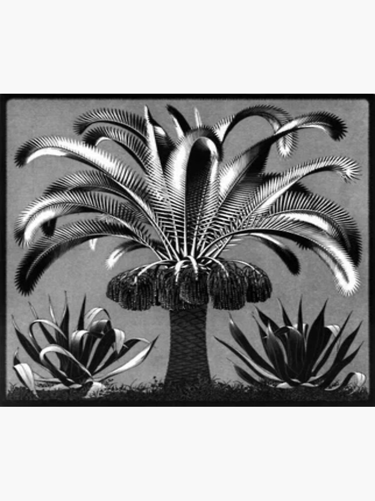 Discover Mc escher palm Trees Premium Matte Vertical Poster
