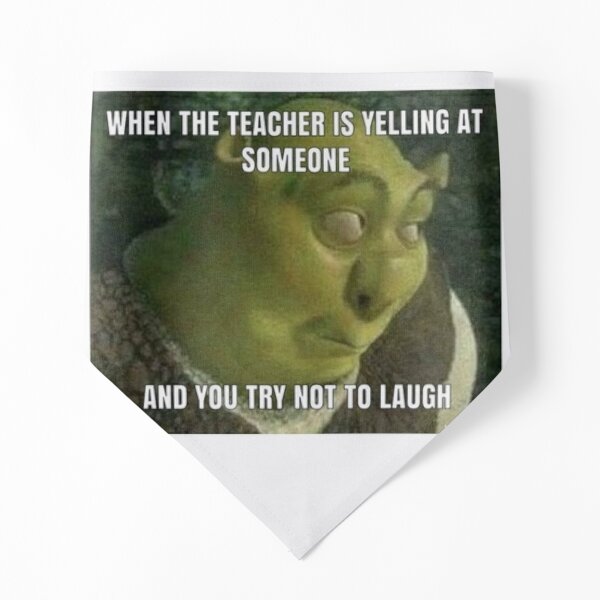 What the Shrek Just Happened Meme Canvas Print for Sale by Thehuskysshop