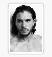 King In The North Sticker