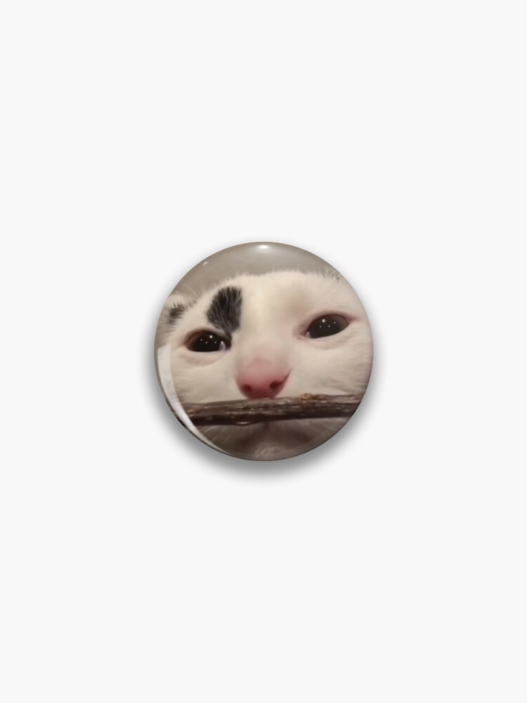 Sad Cat Meme Pins and Buttons for Sale