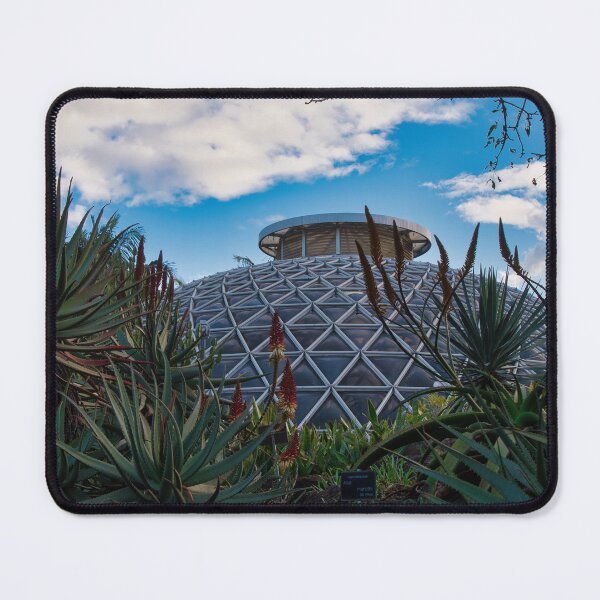 Item preview, Brisbane Mt. Coot-tha Botanical Gardens Tropical Dome designed and sold by BabeShotsPhotos.