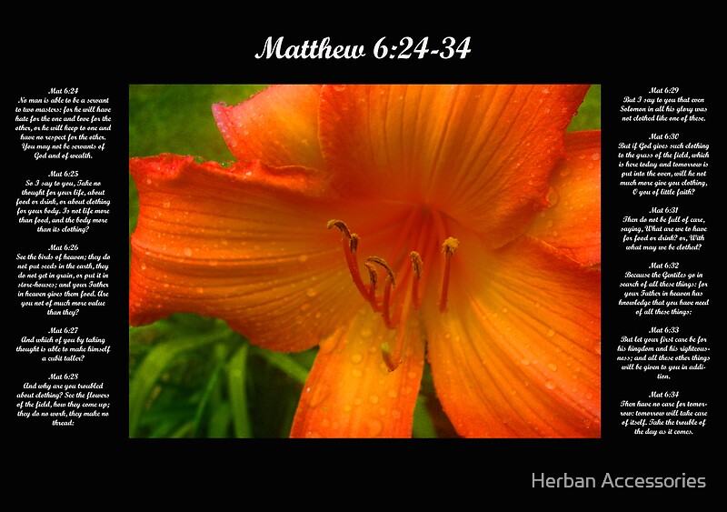 matthew-6-24-34-by-michael-reimann-redbubble